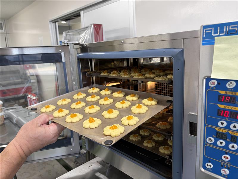 Image - 2026-01-27T151303.172